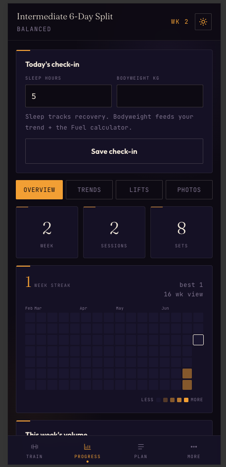 Leverage — progress view with daily check-in, training streak, and weekly volume